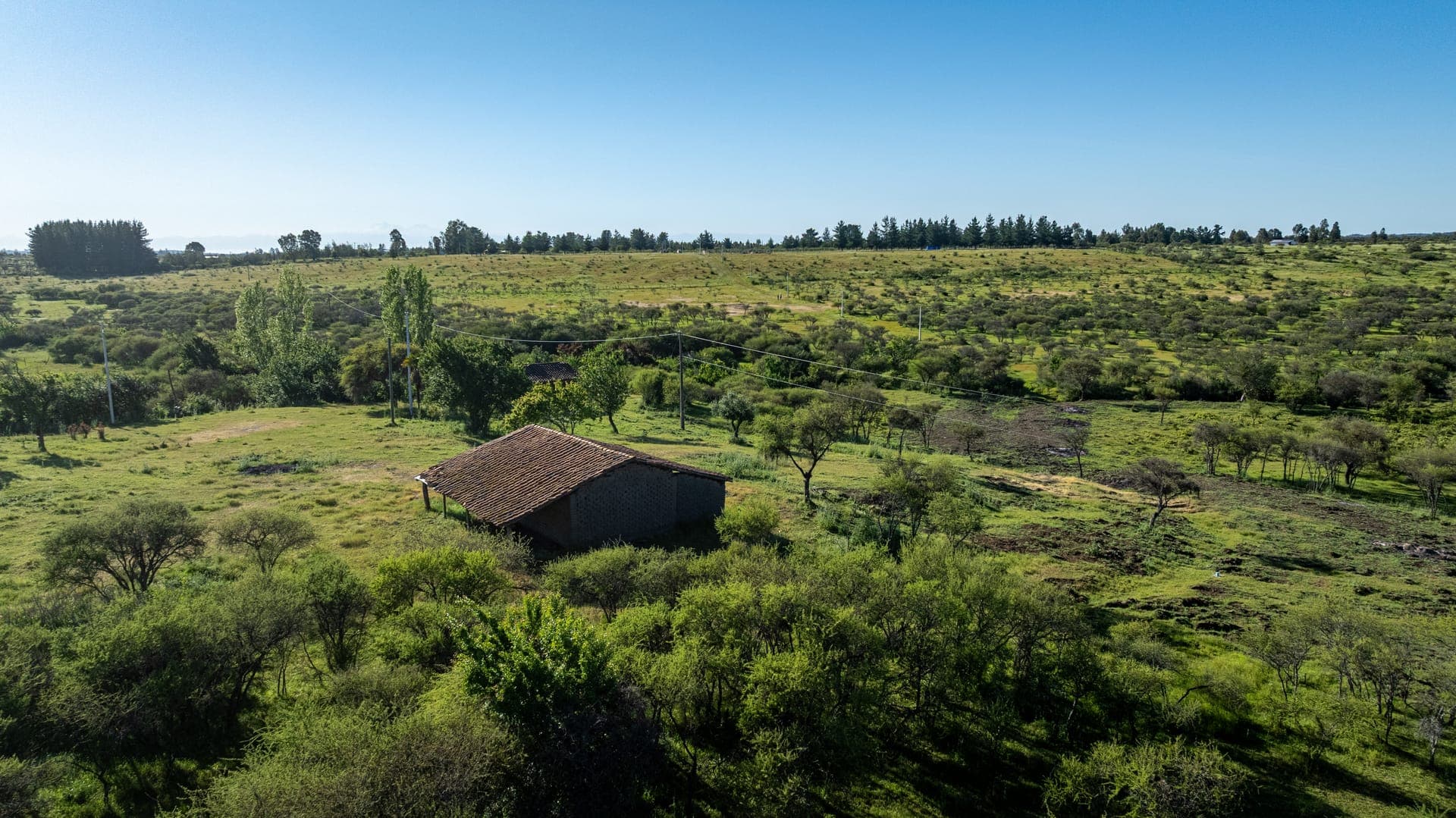 Caminos interiores del proyecto