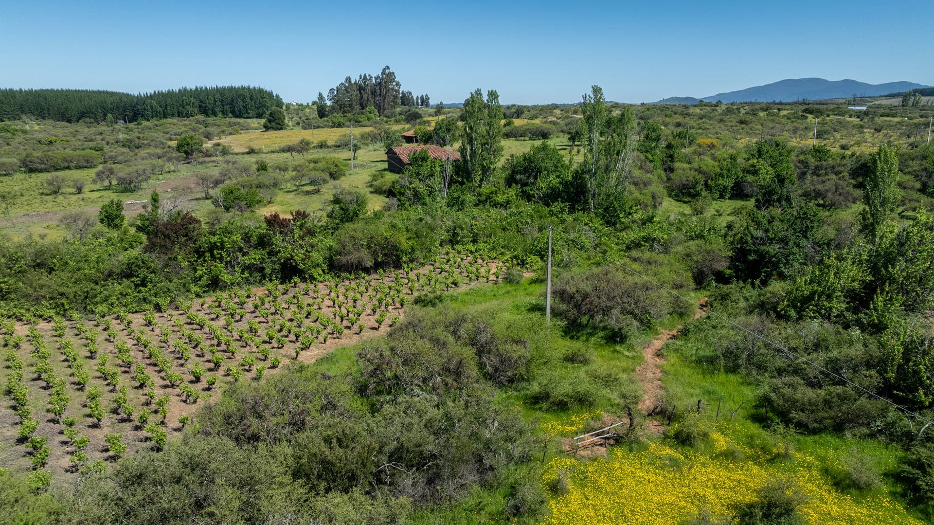 Atardecer en parcelas Huampuli